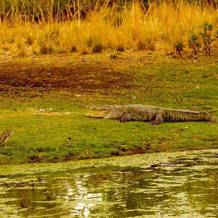 Aura Wildlife Camp And Resorts Marchula Esterno foto